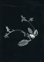 http://www.actionaqua.com/files/gimgs/th-109_neue scanns februar 5 13 invert_v2.jpg